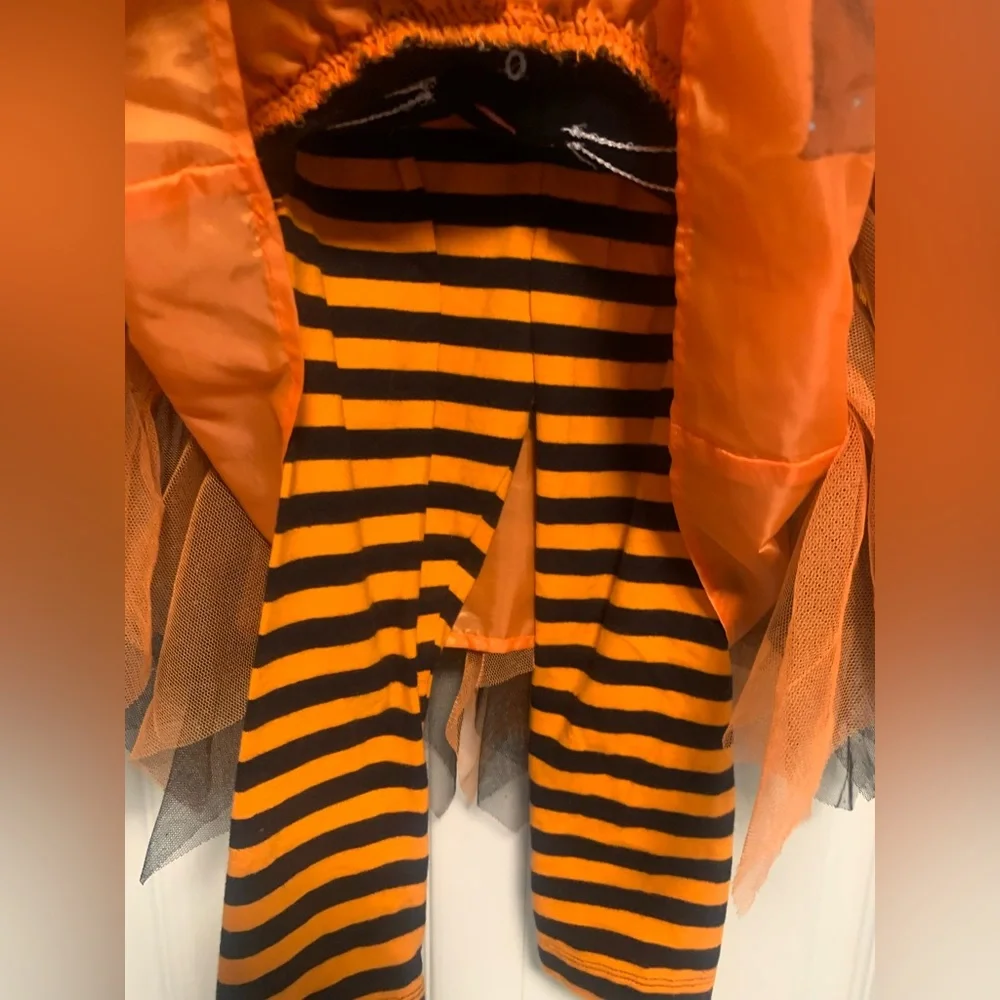 Emily Rose Halloween Cat Outfit